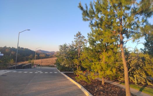 Invierte en Exclusividad – Terreno en Vesta del Monte $1,350,000