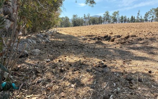 Terreno de 2 Hectáreas en Zona de Expansión – A metros de Av. Amalia Solórzano