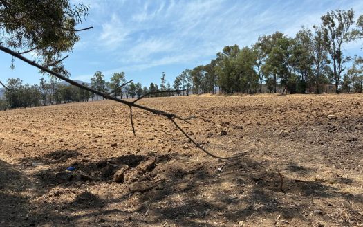 Terreno de 2 Hectáreas en Zona de Expansión – A metros de Av. Amalia Solórzano