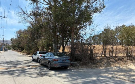 Terreno de 2 Hectáreas en Zona de Expansión – A metros de Av. Amalia Solórzano