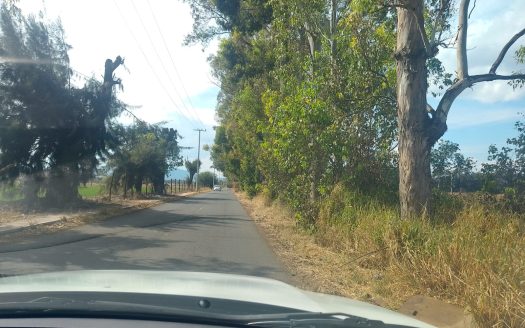 Terreno con Gran Potencial de Crecimiento e Inversión