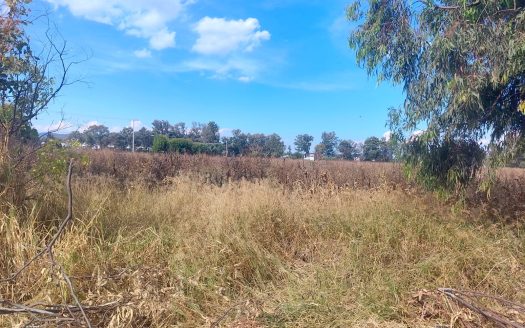 Terreno con Gran Potencial de Crecimiento e Inversión
