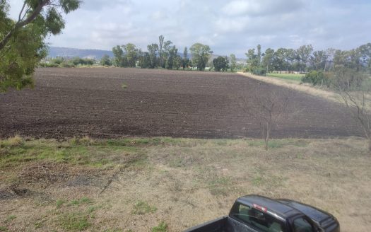 Terreno con Gran Potencial de Crecimiento e Inversión