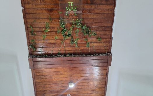 Renta de inmueble con jardín y temazcal