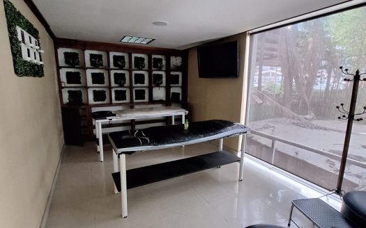 Renta de inmueble con jardín y temazcal