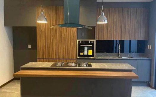 Casa en fraccionamiento privado – Vistas Altozano