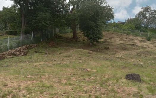 Inversión estratégica en entorno natural – Lago de Zirahuén