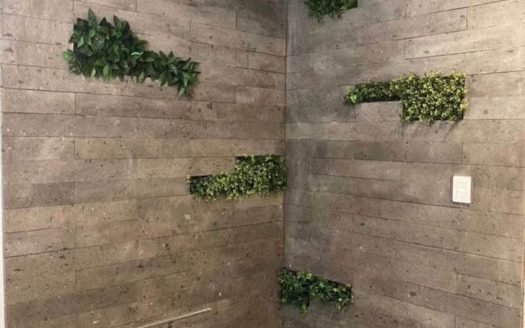 Casa en fraccionamiento privado – Vistas Altozano