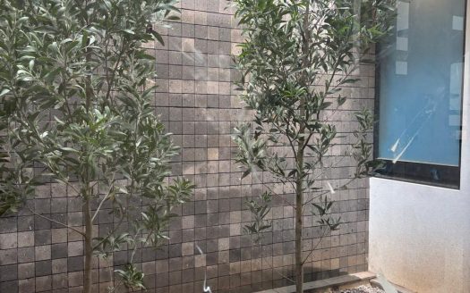 ¡Estrena Casa en Vesta del Monte! Tu Nuevo Hogar te Espera
