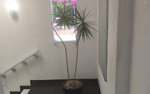 Propiedad en renta con ubicación estratégica – Morelia